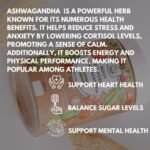 Biohayah Ashwagandha Powder 100g - Image 4