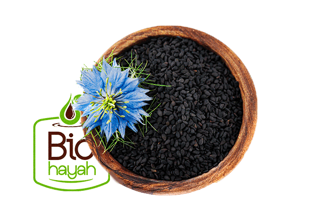 image of bowl and nigella sativa seeds and flower inside it with biohayah ideas for health logo